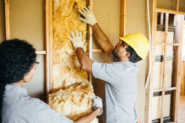 Best Insulation Inspection Services  in Wernersville, PA